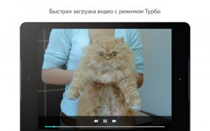 Яндекс Браузер 19.10.1.81