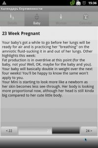 Календарь беременности 1.9.3